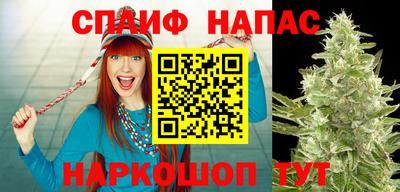 наркотики Будённовск