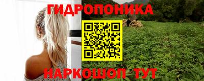 apvp Бузулук