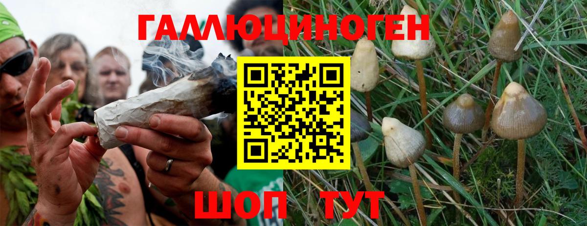 продажа наркотиков  Псилоцибиновые грибы ЛСД  Вход с VPN  Псилоцибиновые грибы мухоморы  Печора 