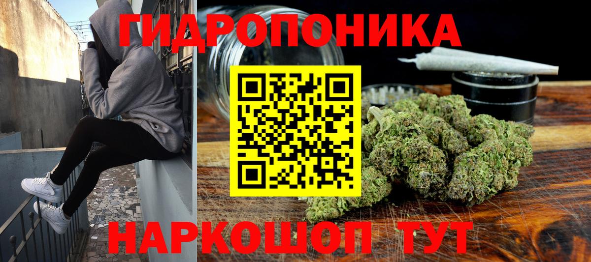Печора  Марихуана семена  Вход с VPN  Шишки марихуана OG Kush  Марихуана сатива  МАРИХУАНА тримм 